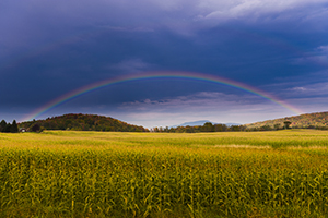 Vermont - Rainbow